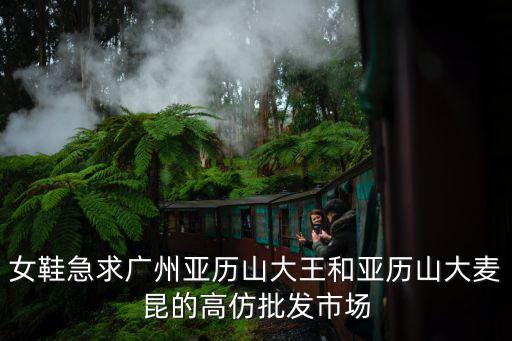 女鞋急求廣州亞歷山大王和亞歷山大麥昆的高仿批發市場