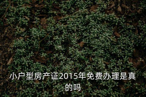 小戶型房產證2015年免費辦理是真的嗎