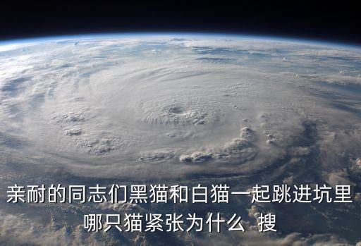 親耐的同志們黑貓和白貓一起跳進坑里哪只貓緊張為什么  搜