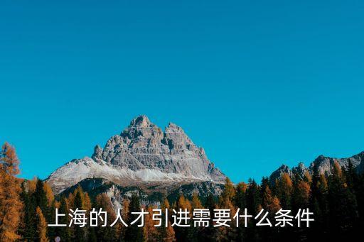 上海的人才引進需要什么條件