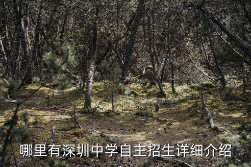 哪里有深圳中學自主招生詳細介紹