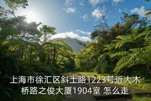 上海市徐匯區(qū)斜土路1223號近大木橋路之俊大廈1904室 怎么走