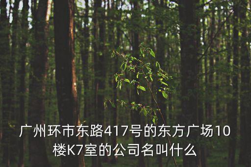 廣州環(huán)市東路417號的東方廣場10樓K7室的公司名叫什么