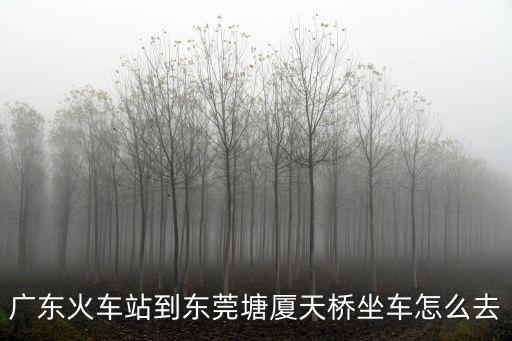 廣東火車站到東莞塘廈天橋坐車怎么去