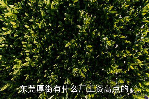 東莞厚街有什么廠工資高點的