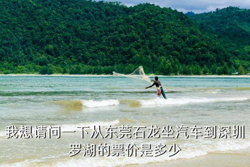 從石龍到深圳羅湖口岸，從石龍客運汽車站到羅湖怎么走