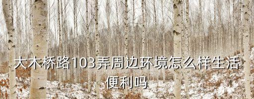 大木橋路103弄周邊環(huán)境怎么樣生活便利嗎