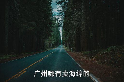 廣州哪有賣海綿的