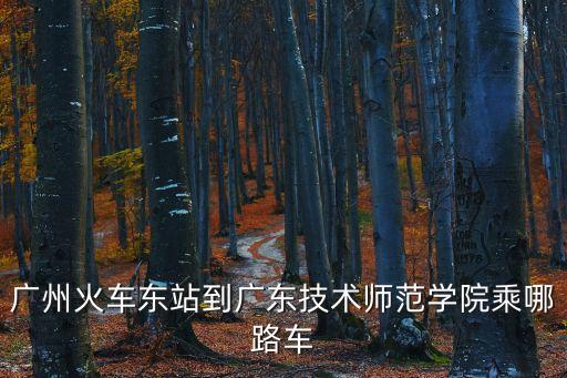 廣州東站到廣技師，廣州火車東站到廣東技術師范學院乘哪路車