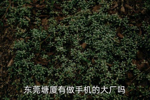 東莞塘廈手機鋼化廠，東莞市塘廈鎮(zhèn)塘廈天橋旁是不是有一個大廠大概有6千多人我也