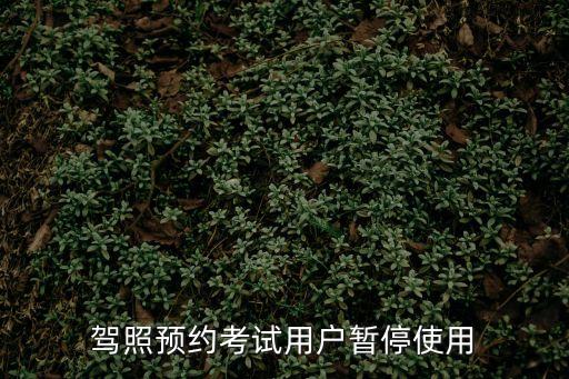 深圳駕駛員考試預約暫停，預約駕照考試賬號被停用怎么辦