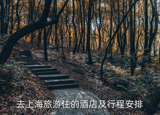 去上海旅游住的酒店及行程安排