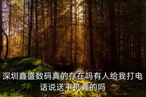 深圳鑫盛電子廠怎么樣，深圳鑫盛電子