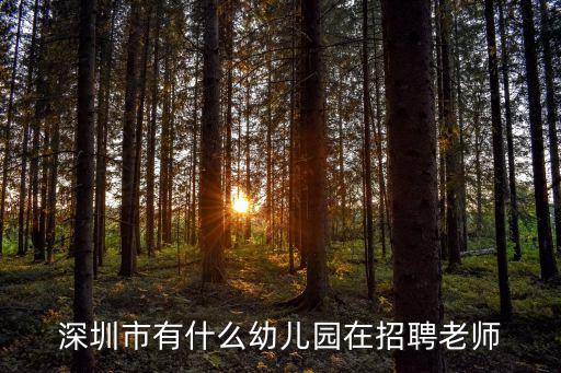 深圳市南山區龍海第一幼兒園招聘，深圳南山區那里招普工