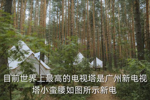 廣州小蠻腰俯視圖，中國最高的建筑小蠻腰
