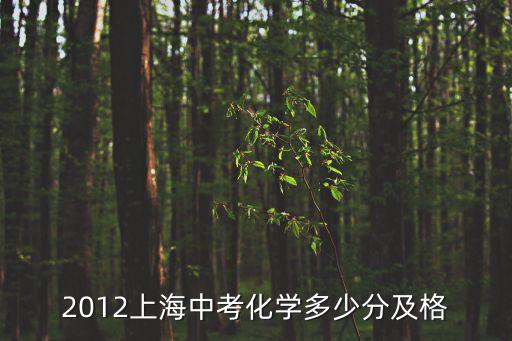 2012上海中考化學多少分及格
