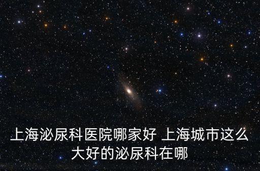上海泌尿科醫(yī)院哪家好 上海城市這么大好的泌尿科在哪