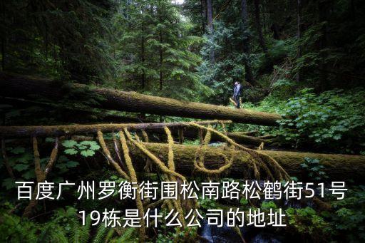 百度廣州羅衡街圍松南路松鶴街51號19棟是什么公司的地址