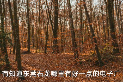 有知道東莞石龍哪里有好一點(diǎn)的電子廠