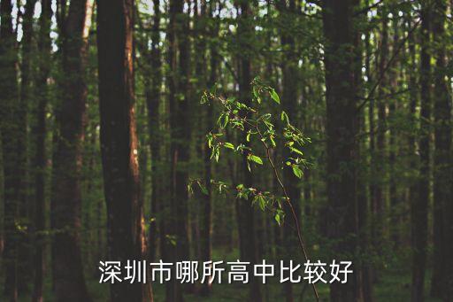 深圳市哪所高中比較好