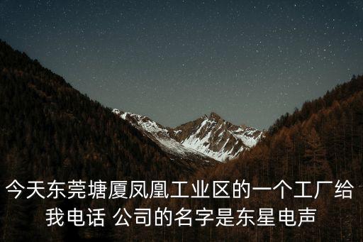 今天東莞塘廈鳳凰工業區的一個工廠給我電話 公司的名字是東星電聲