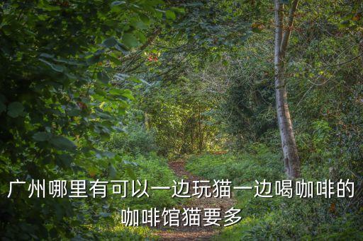廣州教育路貓咖，廣州有哪些不限時且好的貓咖