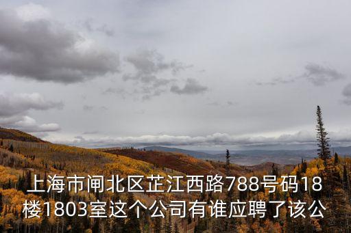 上海市拓傳動系統，上海市延安西路1088號長峰中心15樓1506室是什么公司
