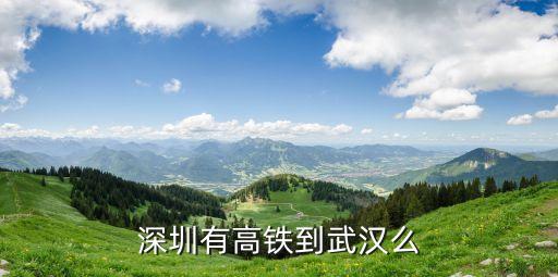 12306深圳到武漢動(dòng)車(chē)，從深圳坐高鐵去武漢怎么去的啊不想去廣州轉(zhuǎn)能直接做高鐵要
