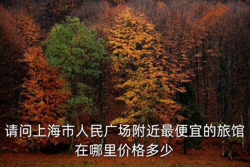 上海市人民西路1559弄多少錢，上海南匯惠南鎮人民西路的房價