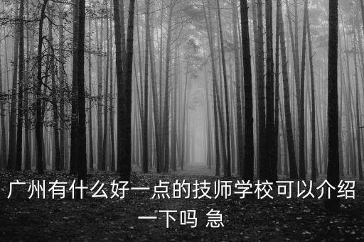 廣州添豪技師，廣州廣技師全名是什么