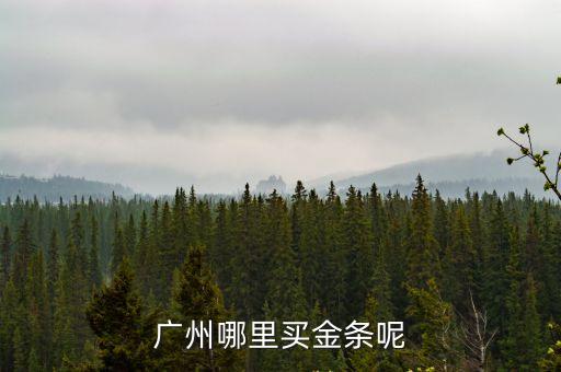 廣州哪里買金條呢