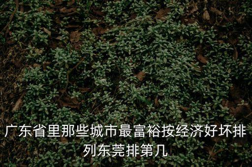 廣東省里那些城市最富裕按經濟好壞排列東莞排第幾