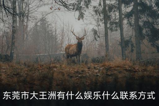 東莞市大王洲有什么娛樂什么聯(lián)系方式