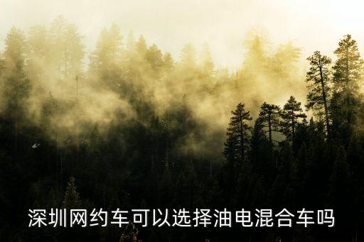 深圳網(wǎng)約車可以選擇油電混合車嗎
