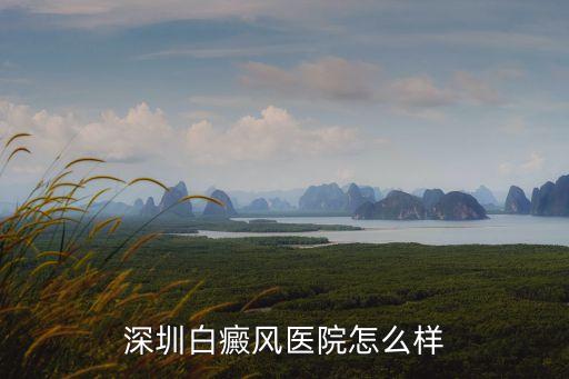 深圳白癜風醫院怎么樣