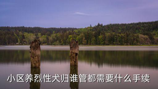 小區養烈性犬歸誰管都需要什么手續