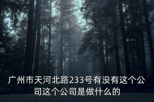 廣州見恩化工有限公司，廣州市天河北路233號有沒有這個公司這個公司是做什么的