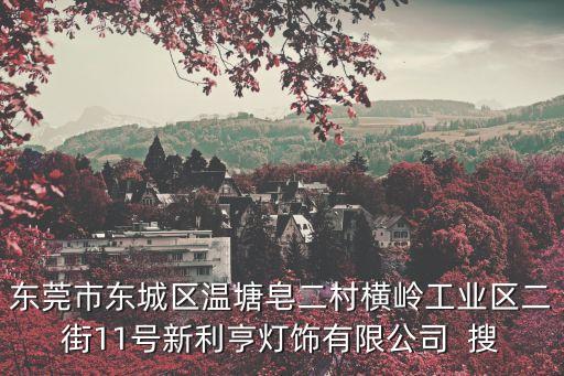 東莞市東城區溫塘皂二村橫嶺工業區二街11號新利亨燈飾有限公司  搜