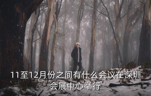 11至12月份之間有什么會議在深圳會展中心舉行