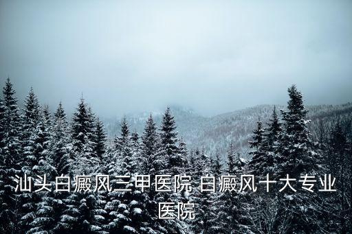汕頭白癜風(fēng)三甲醫(yī)院 白癜風(fēng)十大專業(yè)醫(yī)院