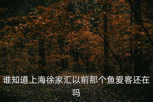誰知道上海徐家匯以前那個魚愛客還在嗎