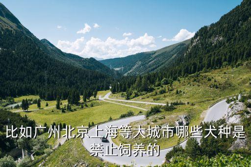 比如廣州北京上海等大城市哪些犬種是禁止飼養(yǎng)的