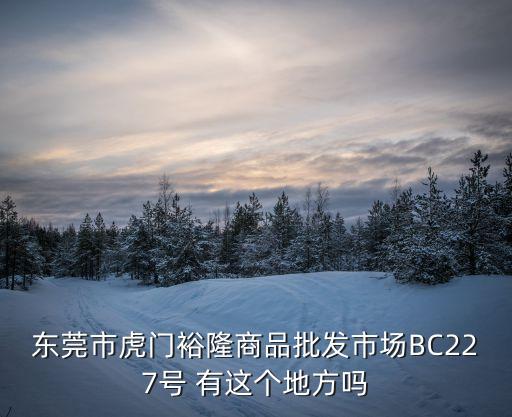 東莞金坤新材料圖片，東莞市虎門裕隆商品批發(fā)市場BC227號(hào) 有這個(gè)地方嗎