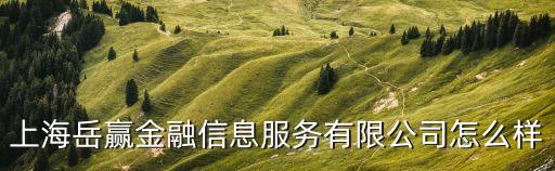 上海岳贏金融信息服務有限公司怎么樣