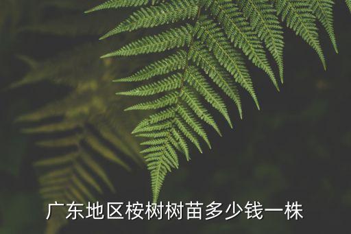 廣東地區桉樹樹苗多少錢一株