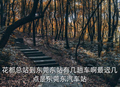花都總站到東莞東站有幾趟車(chē)啊最遲幾點(diǎn)是東莞東汽車(chē)站