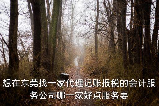 想在東莞找一家代理記賬報稅的會計服務(wù)公司哪一家好點服務(wù)要
