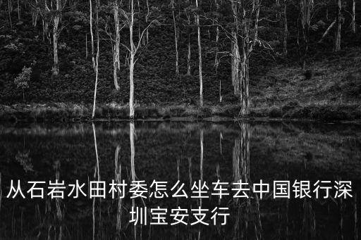 從石巖水田村委怎么坐車去中國銀行深圳寶安支行