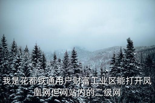 我是花都鐵通用戶財富工業(yè)區(qū)能打開鳳凰網(wǎng)但網(wǎng)站內的二級網(wǎng)