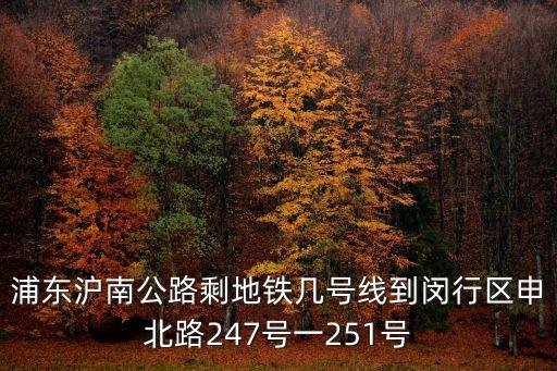 浦東滬南公路剩地鐵幾號線到閔行區(qū)申北路247號一251號